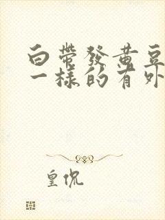 白带发黄豆腐渣一样的有外阴痒怎么治疗