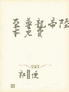 至尊龙帝陆鸣全本免费