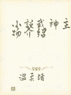 小说武神主宰人物介绍