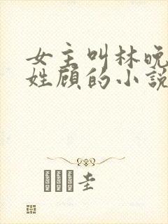 女主叫林晚男主姓顾的小说
