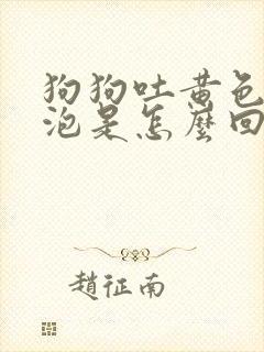 狗狗吐黄色的泡泡是怎么回事