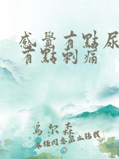 感觉有点尿不尽有点刺痛