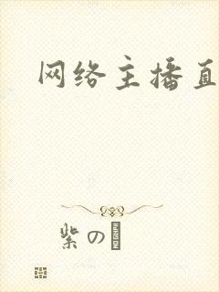 网络主播直播间