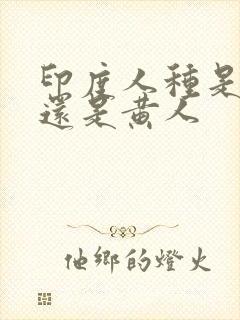 印度人种是白人还是黄人