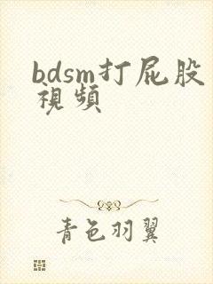 bdsm打屁股视频