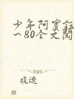 少年阿宾钰慧1～80全文阅读