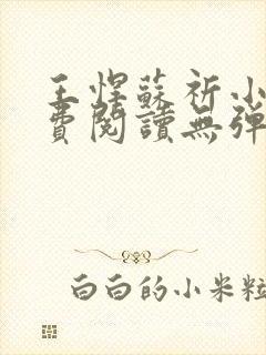 王悍苏祈小说免费阅读无弹窗