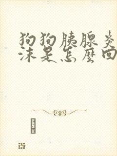 狗狗胰腺炎吐白沫是怎么回事