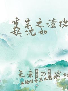 重生之渣攻要奋起 沈如