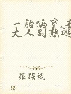 一胎俩宝,老婆大人别想逃小说