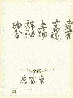 内裤上有黄黄的分泌物还有臭味是什么病