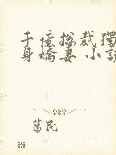 千亿总裁独宠替身娇妻 小说完整