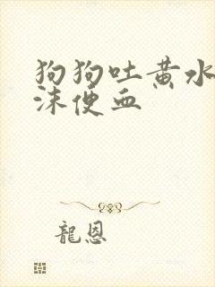 狗狗吐黄水带泡沫便血