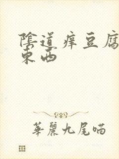 阴道痒豆腐渣的东西