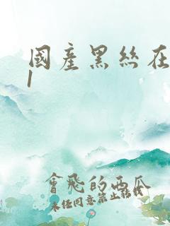 国产黑丝在线91