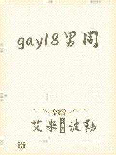 gay18男同