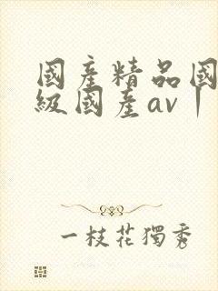 国产精品国产三级国产av丨