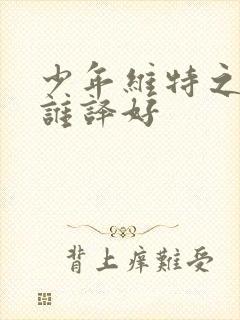 少年维特之烦恼谁译好