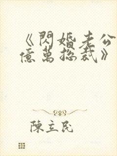 《闪婚老公竟是亿万总裁》小说