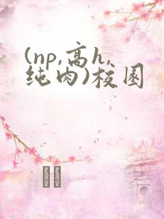 (np,高h,纯肉)校园