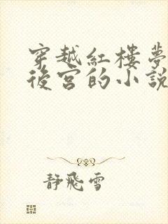 穿越红楼梦猎艳后宫的小说