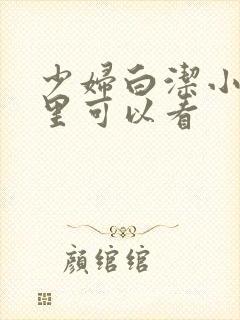 少妇白洁小说哪里可以看