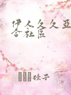 伊人久久亚洲综合社区