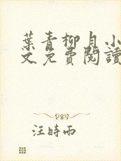 叶青柳月小说全文免费阅读无弹窗