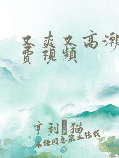 又爽又高潮的免费视频