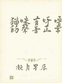 猫咪有呼噜呼噜的声音正常吗