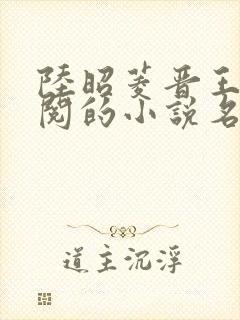 陆昭菱晋王周时阅的小说名