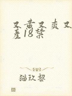 又黄又爽又色国产18禁