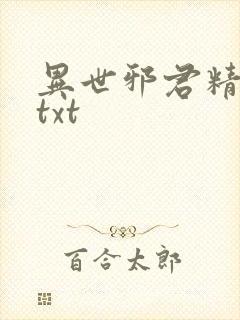 异世邪君精校版txt