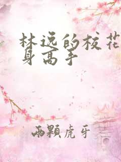 林逸的校花的贴身高手