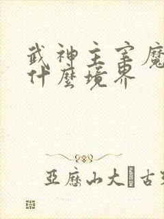 武神主宰魔主是什么境界