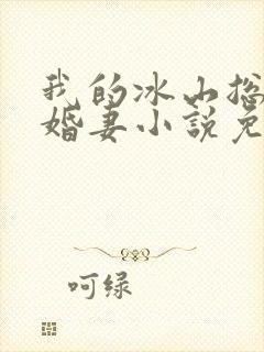 我的冰山总裁未婚妻小说免费