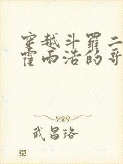 穿越斗罗二成为霍雨浩的哥哥