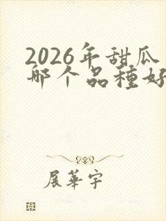 2026年甜瓜哪个品种好