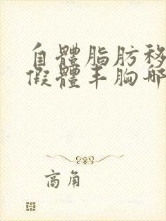 自体脂肪移植和假体丰胸哪个好