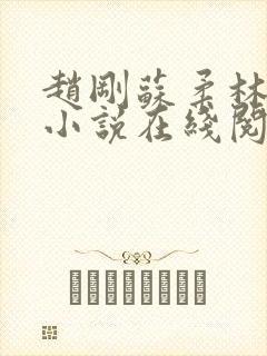 赵刚苏柔林风的小说在线阅读