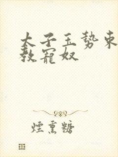 太子玉势束腰调教宠奴