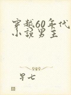 穿越60年代的小说男主