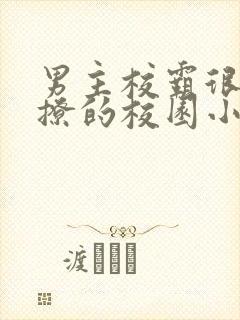 男主校霸很痞很撩的校园小说