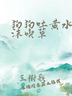 狗狗吐黄水带泡沫吃草