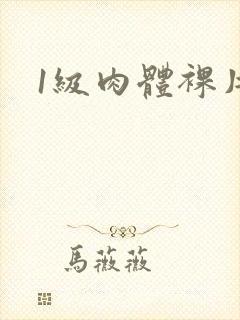 1级肉体裸片.