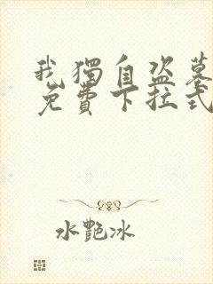 我独自盗墓漫画免费下拉式36漫画