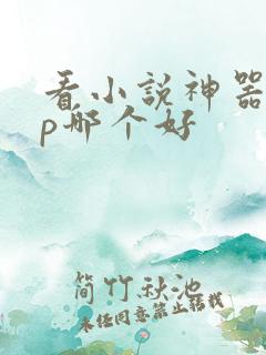 看小说神器app哪个好