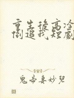 重生后高冷妻子倒追我短剧免费观看