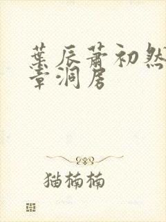 叶辰萧初然第几章洞房