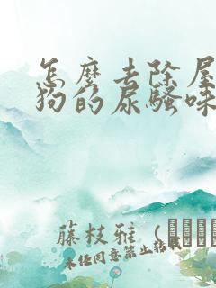 怎么去除屋里狗狗的尿骚味